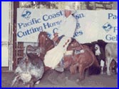 Quality Cutting Horses for Sale