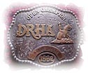 Dixie Reining Horse Association