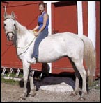 Riding Lessons in Sacramento, CA